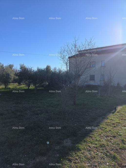 In Italian, the title