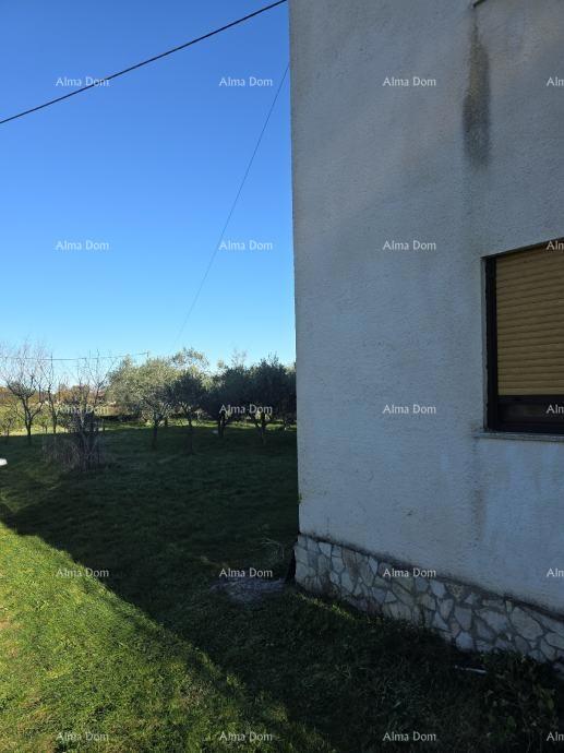 In Italian, the title