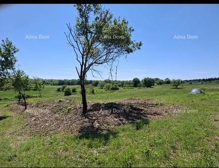 Parcela edificabile 1.200 m² + terreno agricolo 4.400 m² – Vižinada