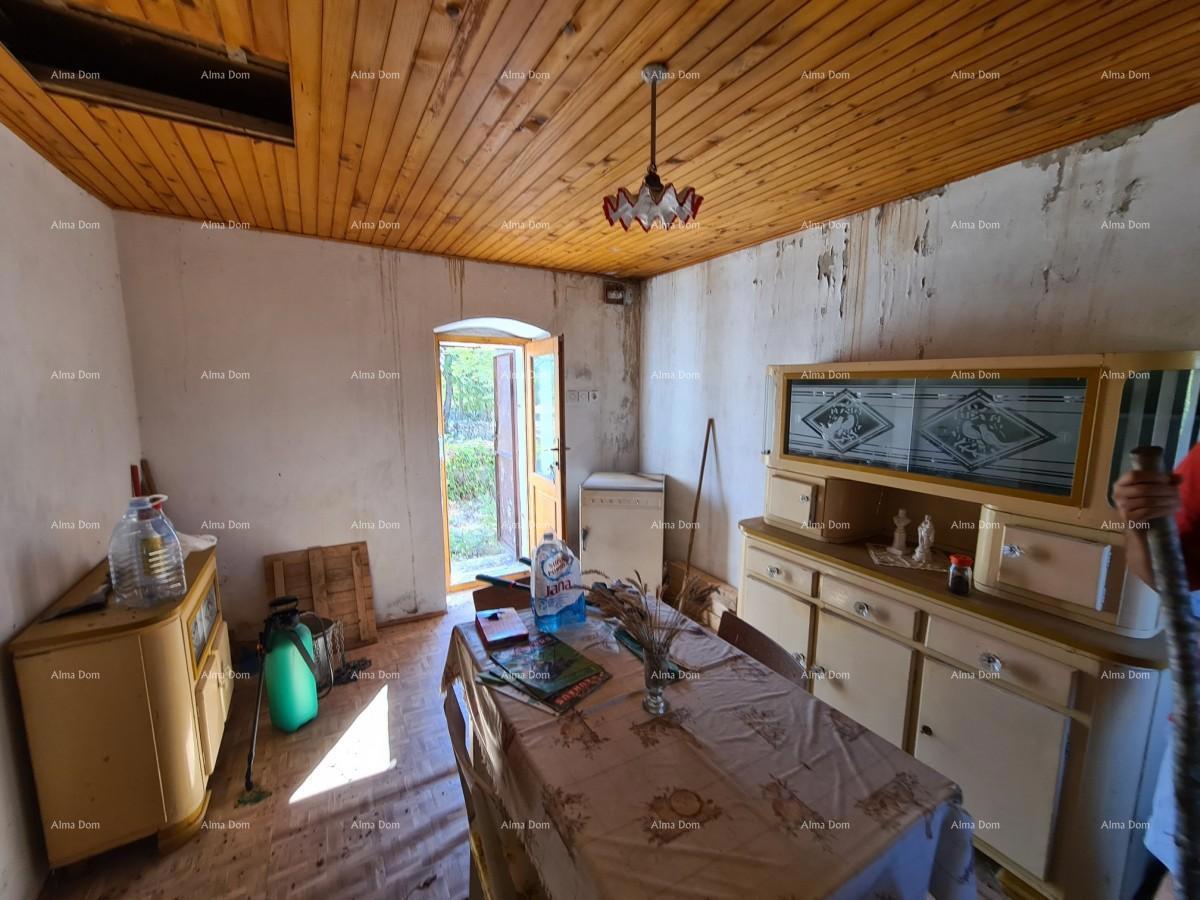 Tenuta vicino a Vodnjan! Grande terreno 7154 m2!!