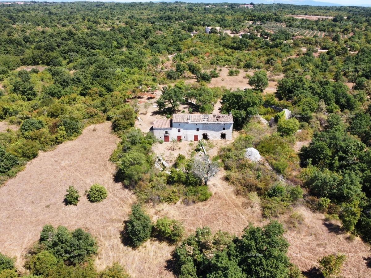 Tenuta vicino a Vodnjan! Grande terreno 7154 m2!!