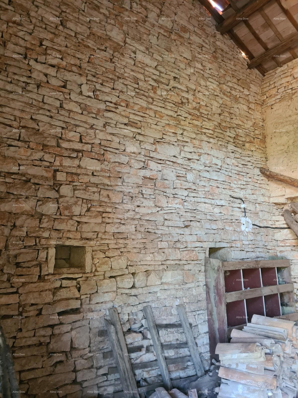 Tenuta vicino a Vodnjan! Grande terreno 7154 m2!!