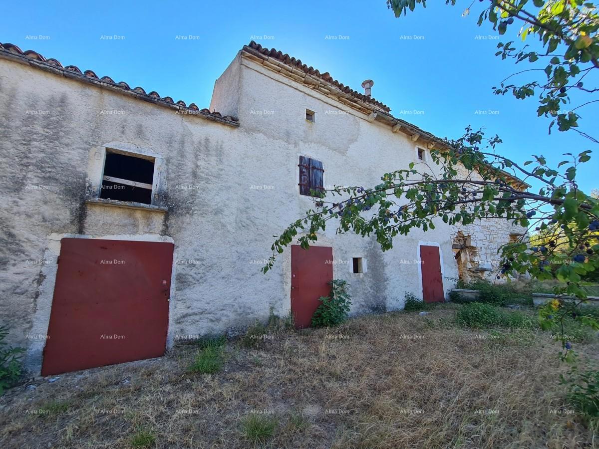 Tenuta vicino a Vodnjan! Grande terreno 7154 m2!!