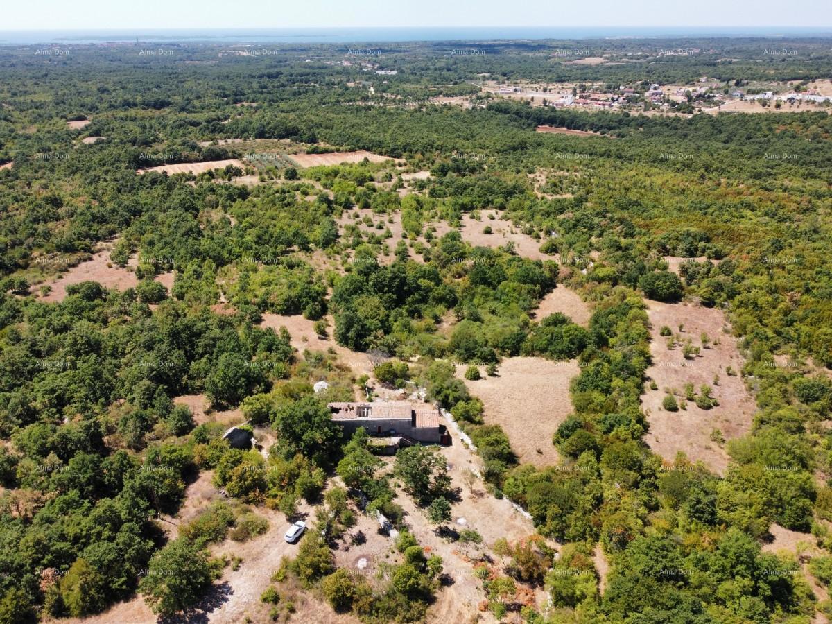 Tenuta vicino a Vodnjan! Grande terreno 7154 m2!!