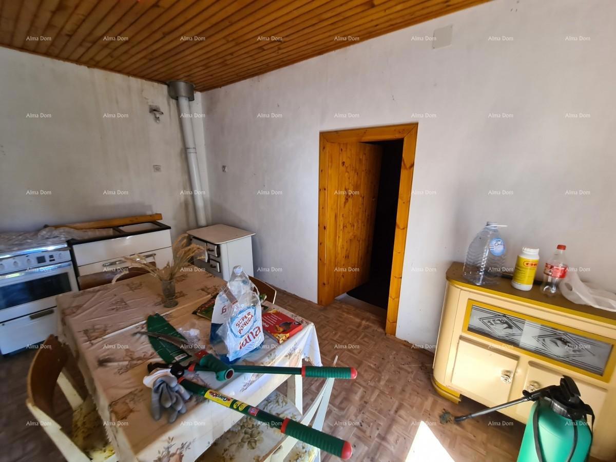 Tenuta vicino a Vodnjan! Grande terreno 7154 m2!!