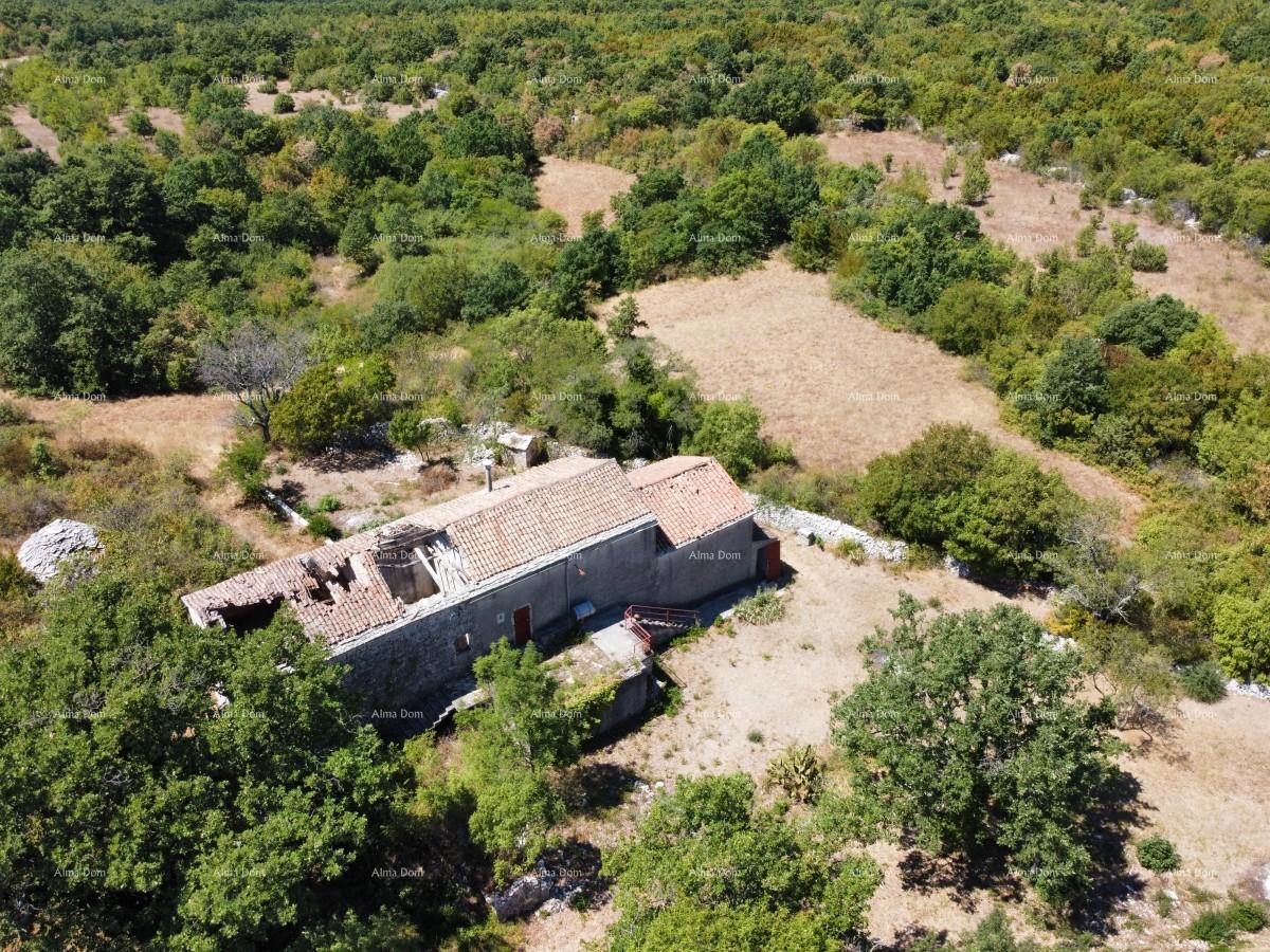 Tenuta vicino a Vodnjan! Grande terreno 7154 m2!!