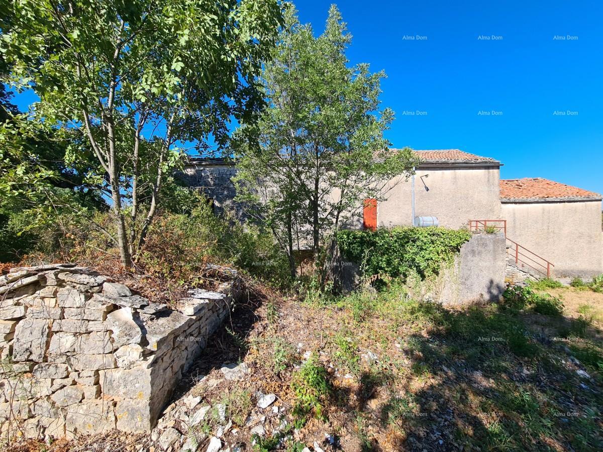 Tenuta vicino a Vodnjan! Grande terreno 7154 m2!!