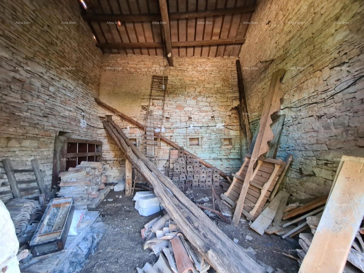 Tenuta vicino a Vodnjan! Grande terreno 7154 m2!!