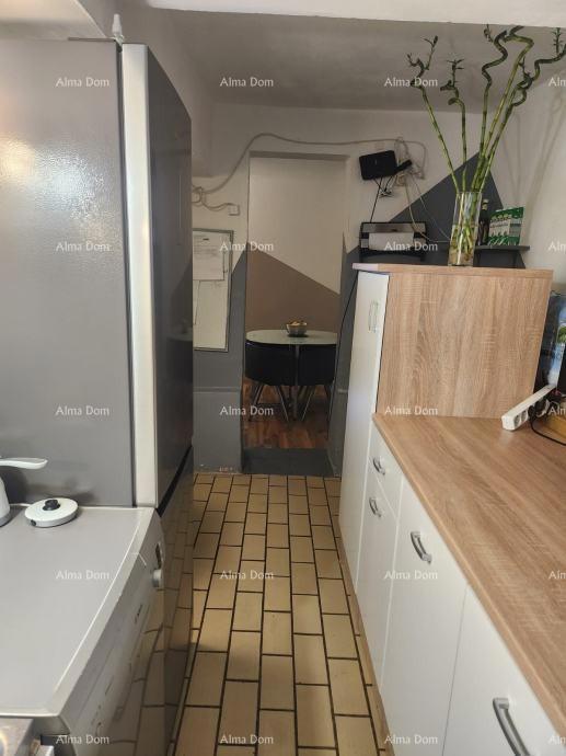 Vendita di due appartamenti al piano terra di una casa con giardino