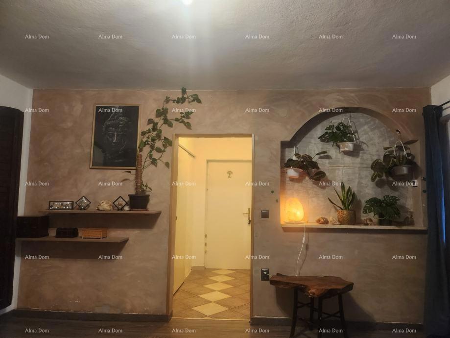 Vendita di due appartamenti al piano terra di una casa con giardino