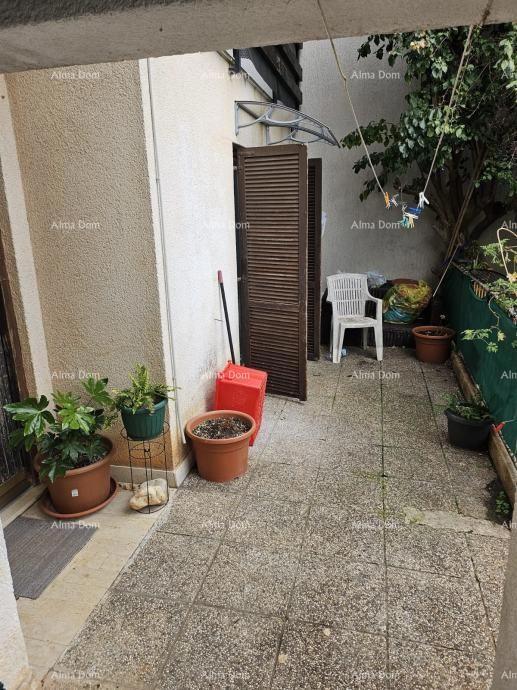 Vendita di due appartamenti al piano terra di una casa con giardino