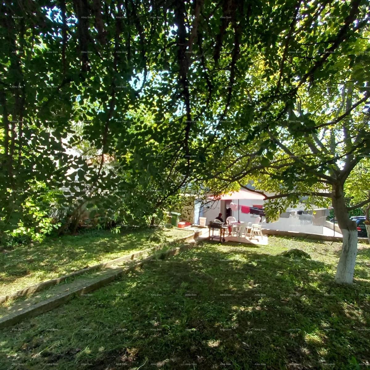 Pula! Appartamento con grande giardino e terrazza.