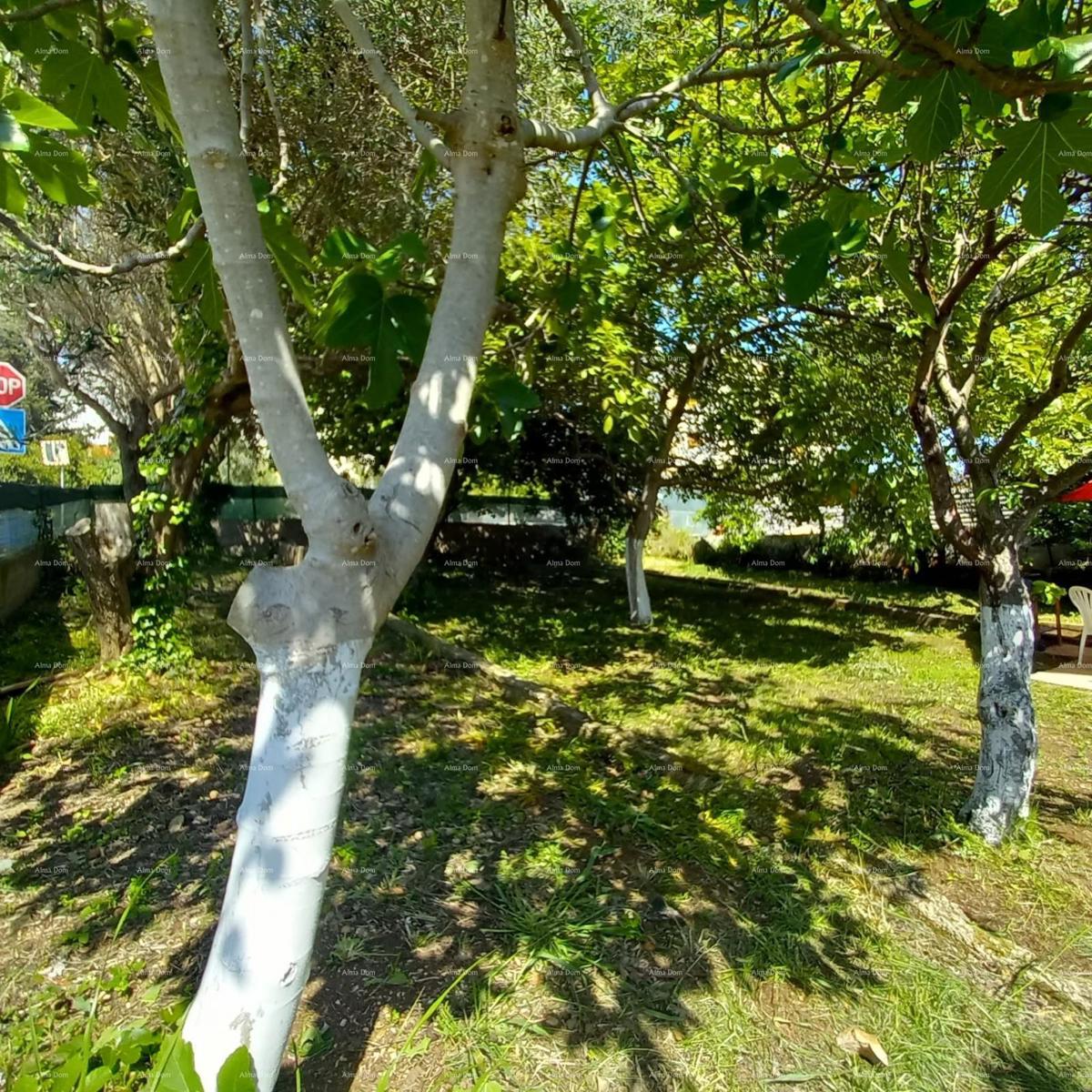 Pula! Appartamento con grande giardino e terrazza.