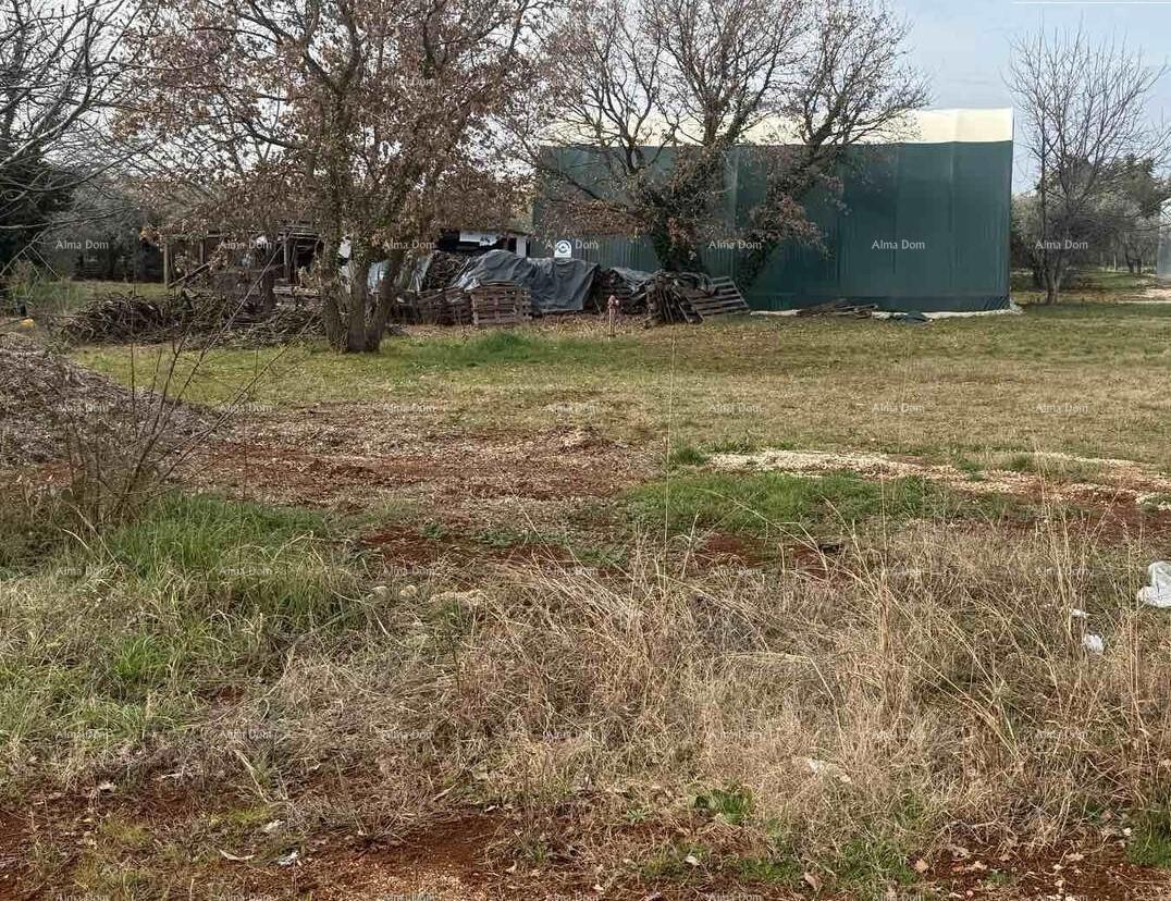 Terreno edificabile 2.960 m² – Novigrad