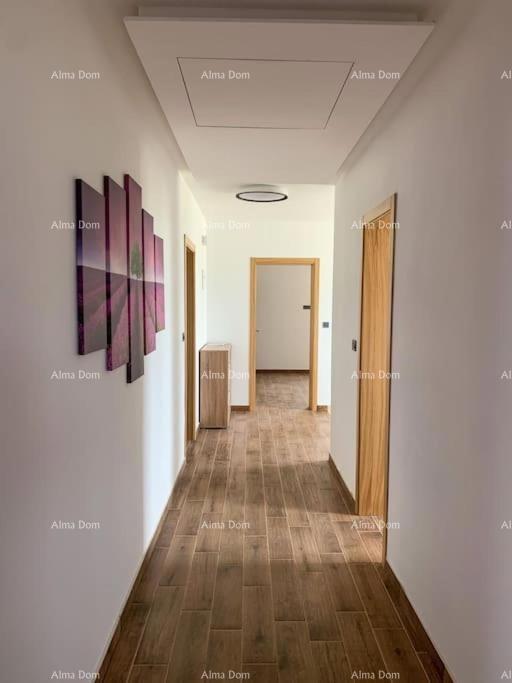 Lussuosa villa con piscina in vendita – Istria, dintorni di Barbana