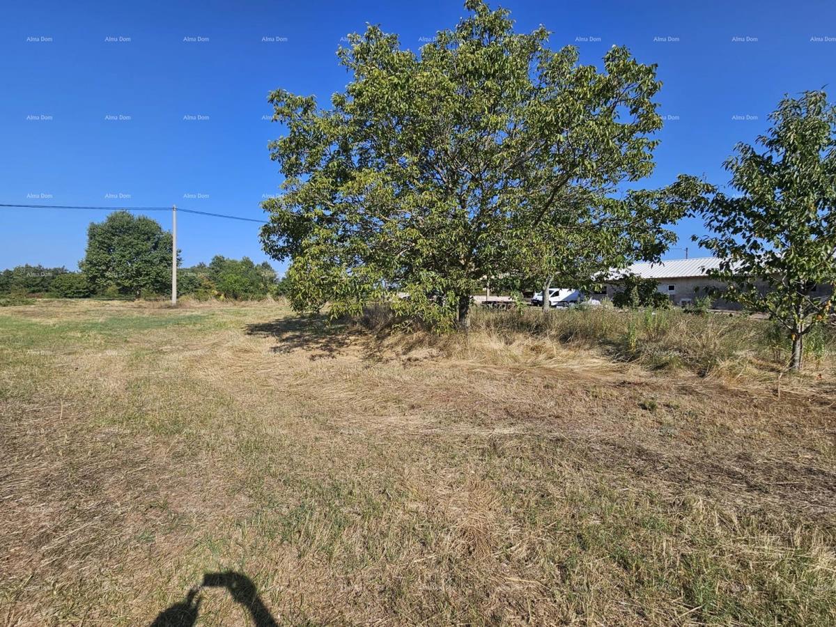 Vendita di terreni edificabili, Žminj