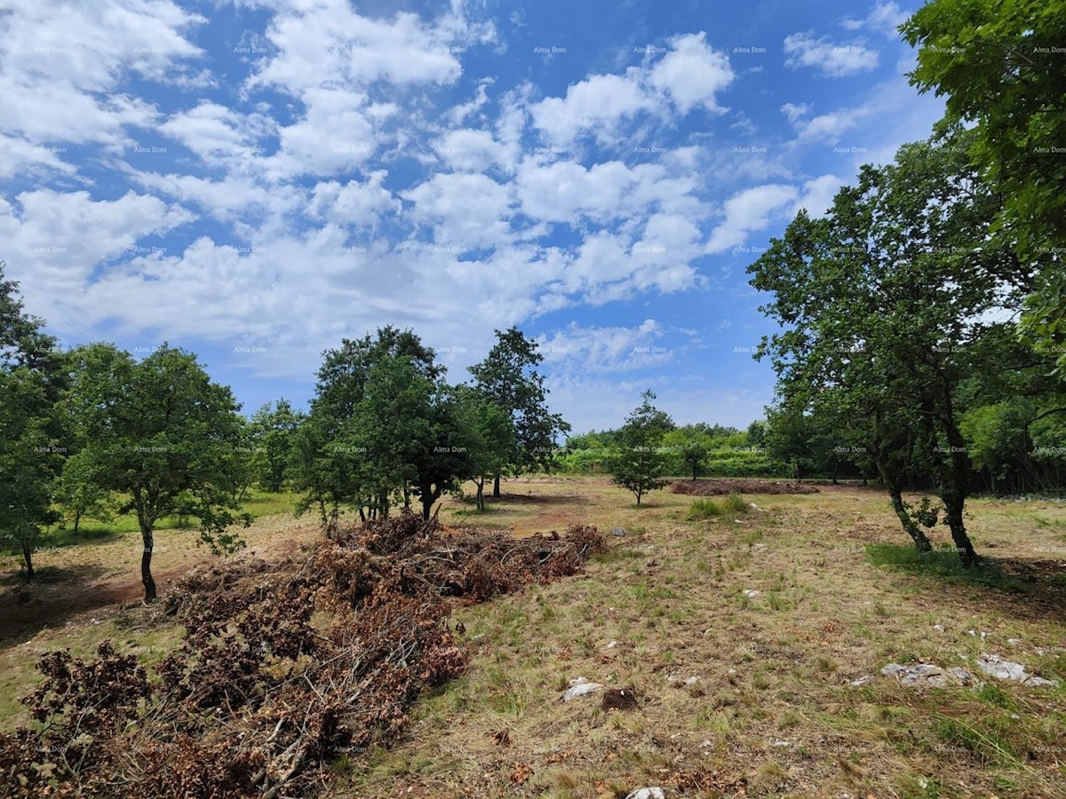 Top Land vicino a Barban