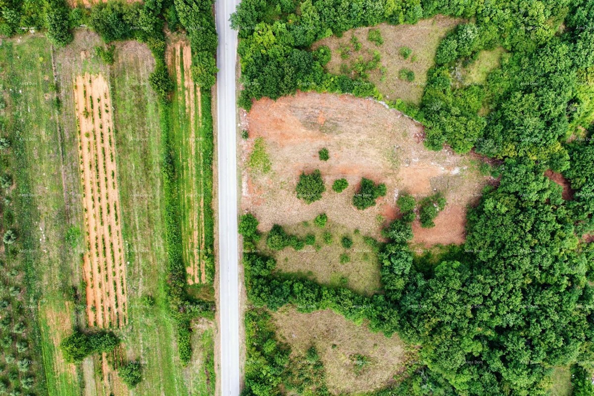 Top Land vicino a Barban