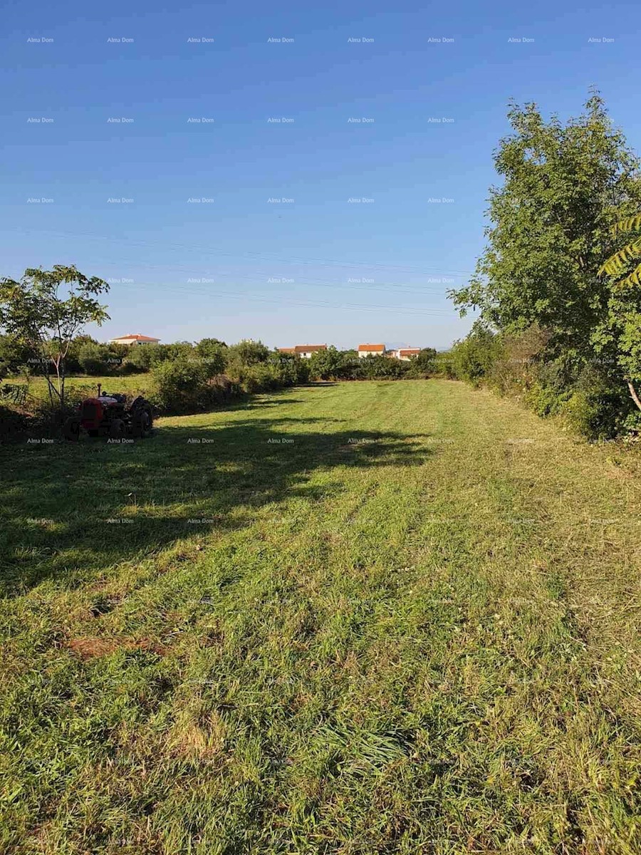 Terreno agricolo Krnica