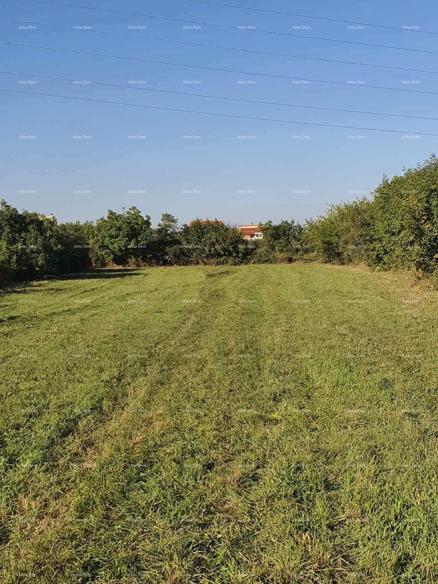 Terreno agricolo Krnica