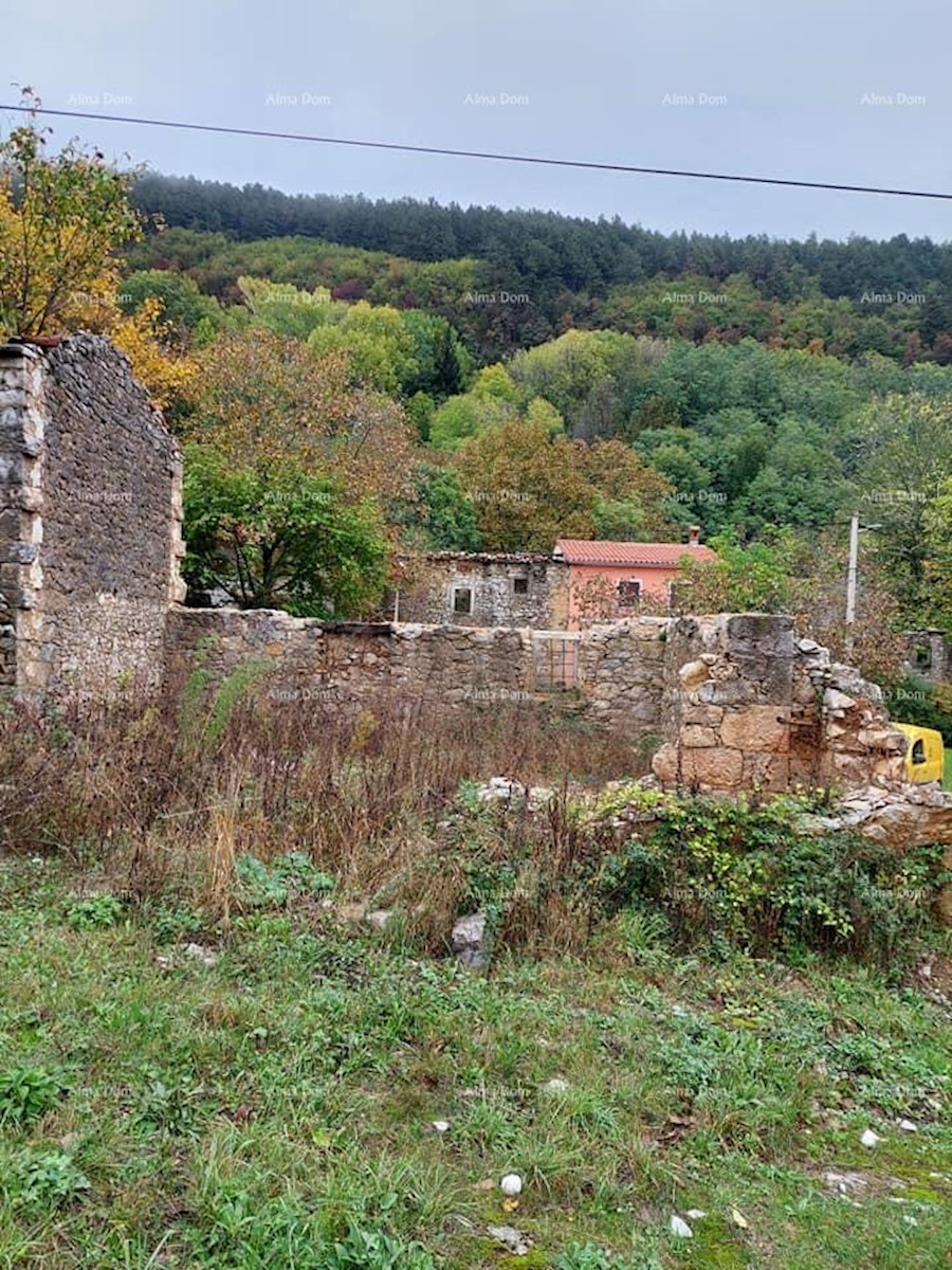 Vecchia casa in vendita