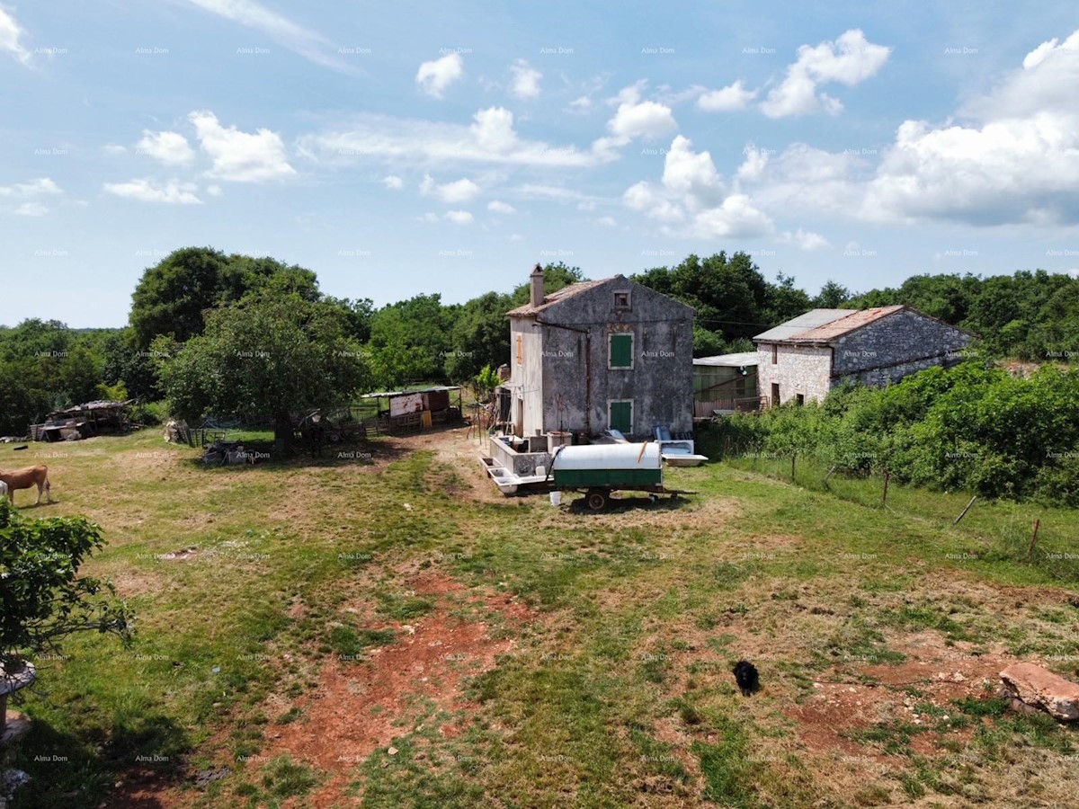 Vendiamo parte di una vasta tenuta in zona appartata.