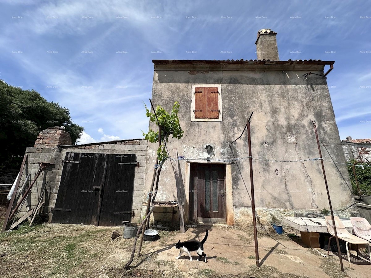 Vendiamo parte di una vasta tenuta in zona appartata.