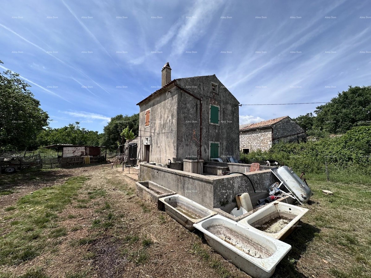 Vendiamo parte di una vasta tenuta in zona appartata.