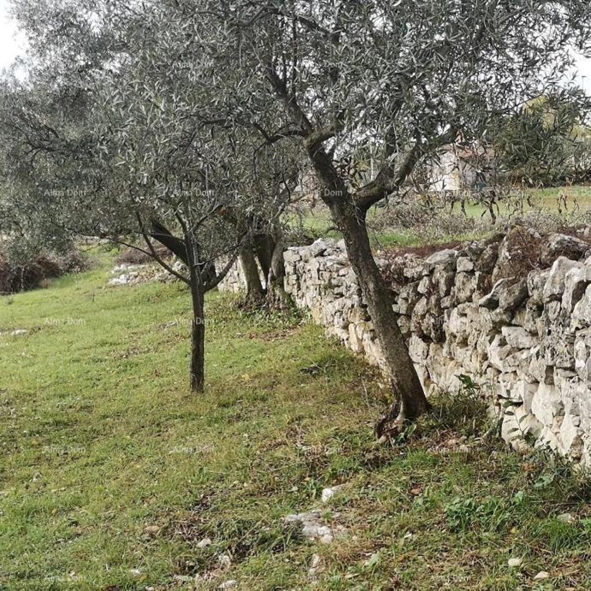 Terreno edificabile Fažana