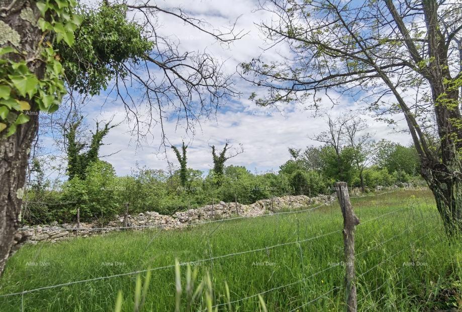 Terreno edificabile in vendita, Visignano