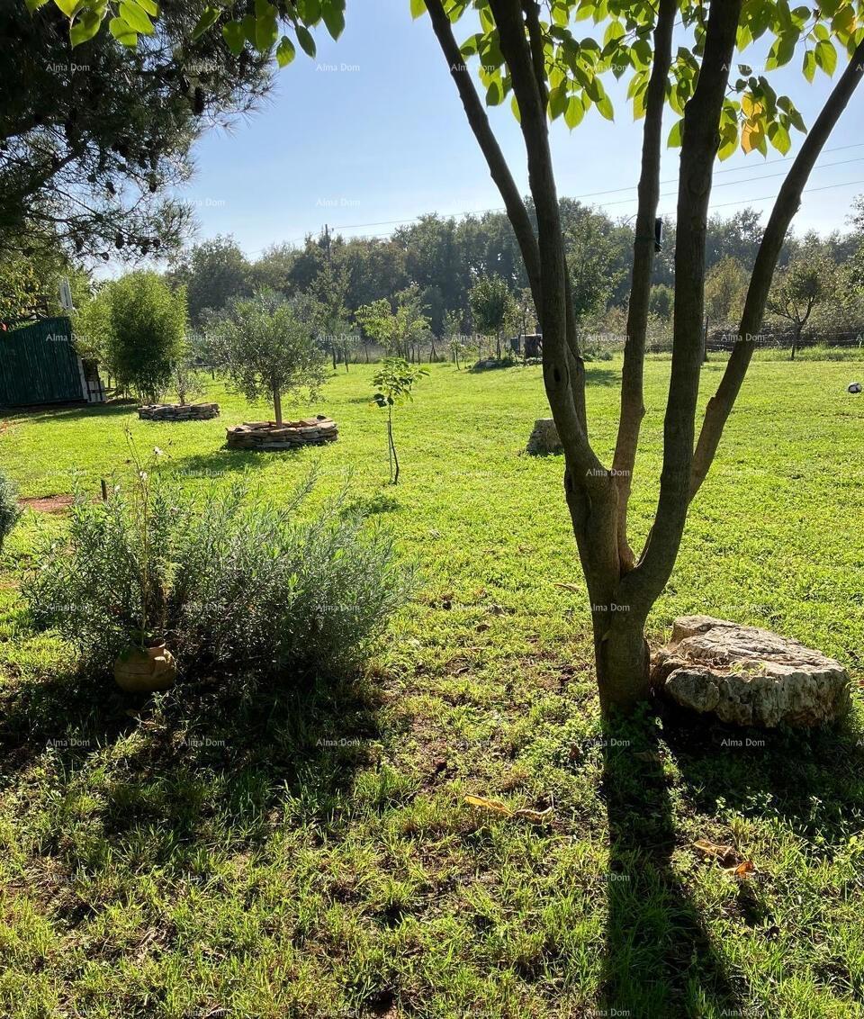 Terreno agricolo Umag