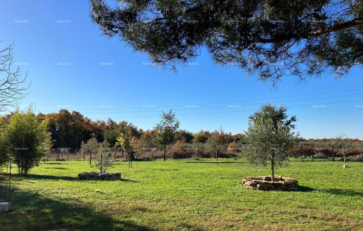 Terreno agricolo Umag