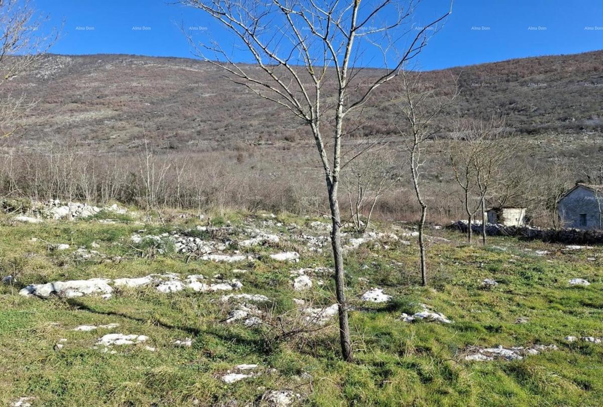 KRŠAN, Terreno edificabile ai piedi del Parco Naturale Učka - diversi lotti con vista sulla natura