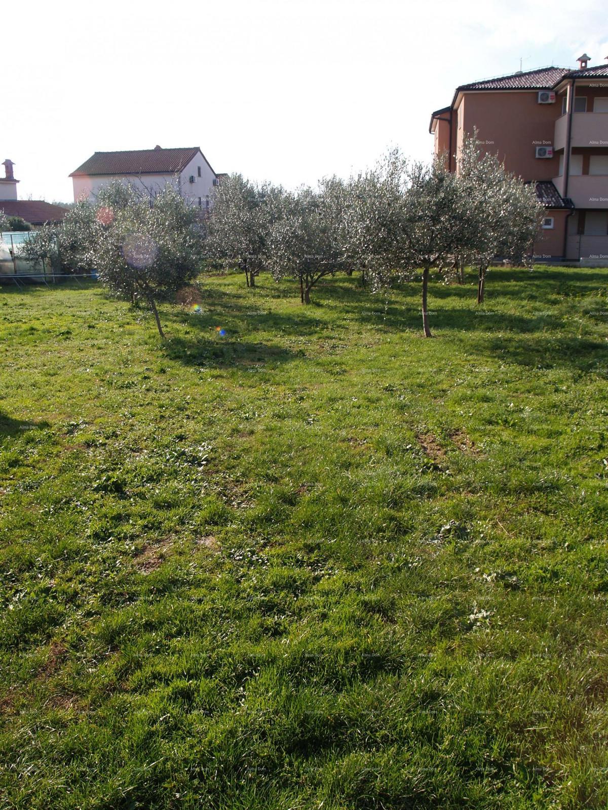 Ližnjan – Edificio commerciale con terreno edificabile aggiuntivo in posizione centrale e attraente
