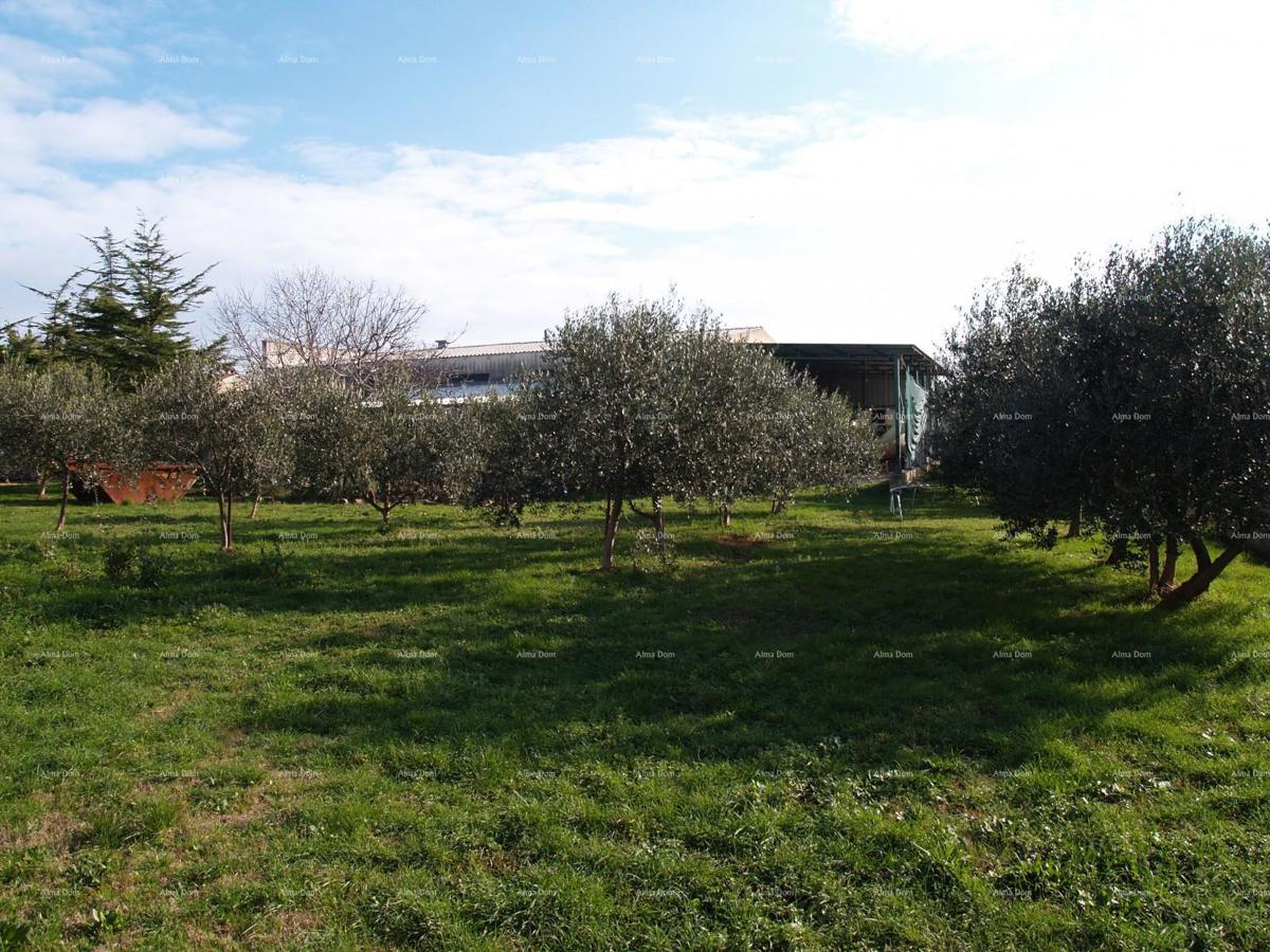 Ližnjan – Edificio commerciale con terreno edificabile aggiuntivo in posizione centrale e attraente