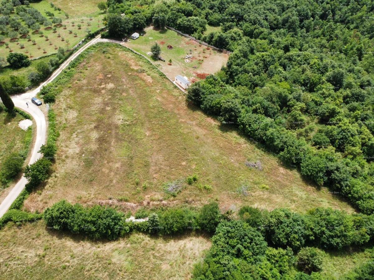 Vicino a Dignano! Terreni con permesso di costruire!