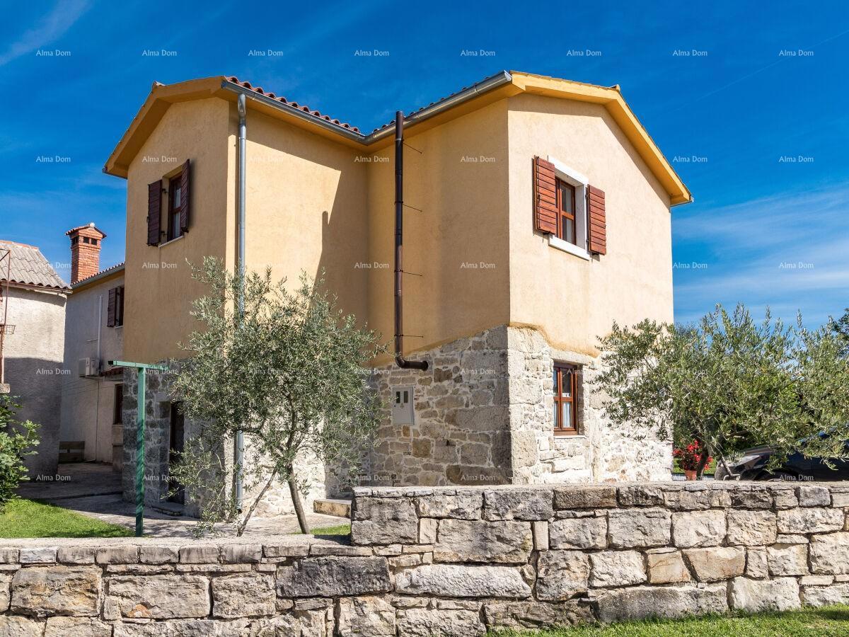 The translation of "Lijepa Villa blizina Pazina" to Italian is "Bella Villa vicino a Pazin."