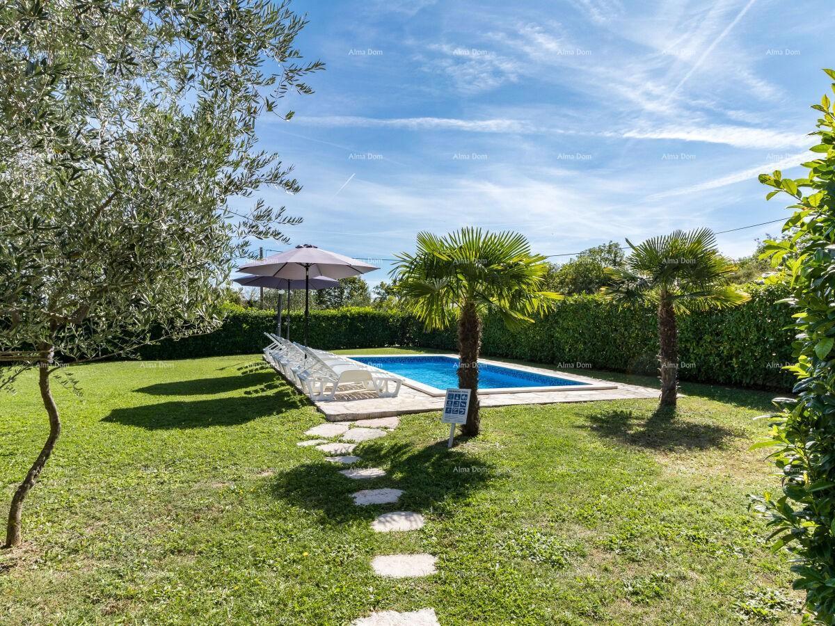 The translation of "Lijepa Villa blizina Pazina" to Italian is "Bella Villa vicino a Pazin."