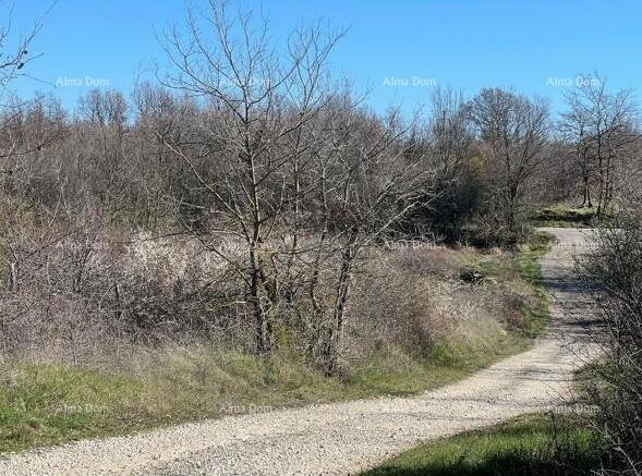 Vendita - terreno edificabile con permesso, la costruzione può iniziare subito! Kanfanar!