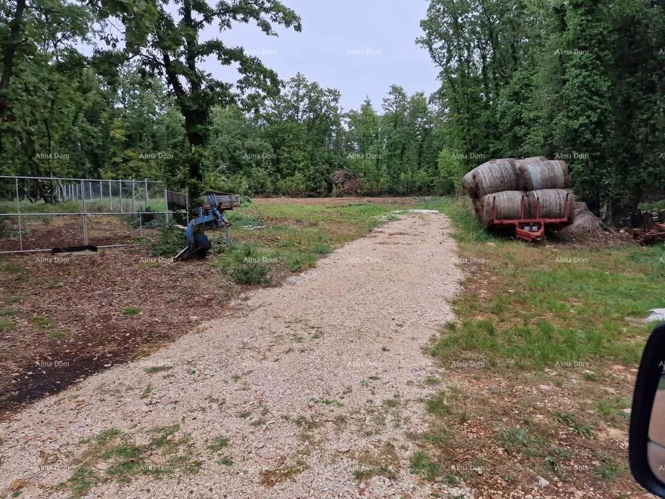 Terreno edificabile Brtonigla