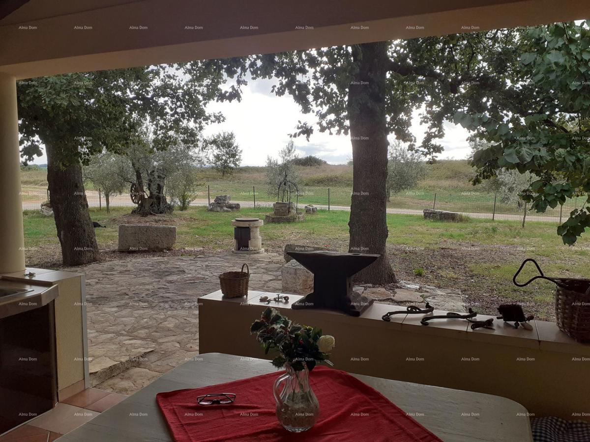 NOVIGRAD - Due appartamenti in vendita in una casa unifamiliare