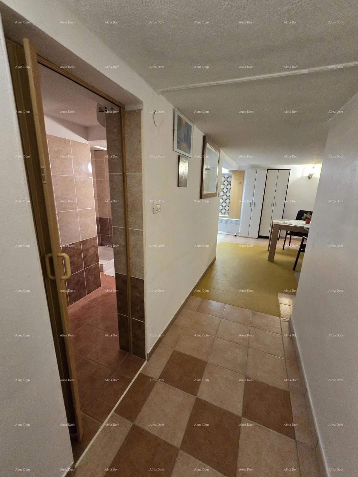 NOVIGRAD - Due appartamenti in vendita in una casa unifamiliare