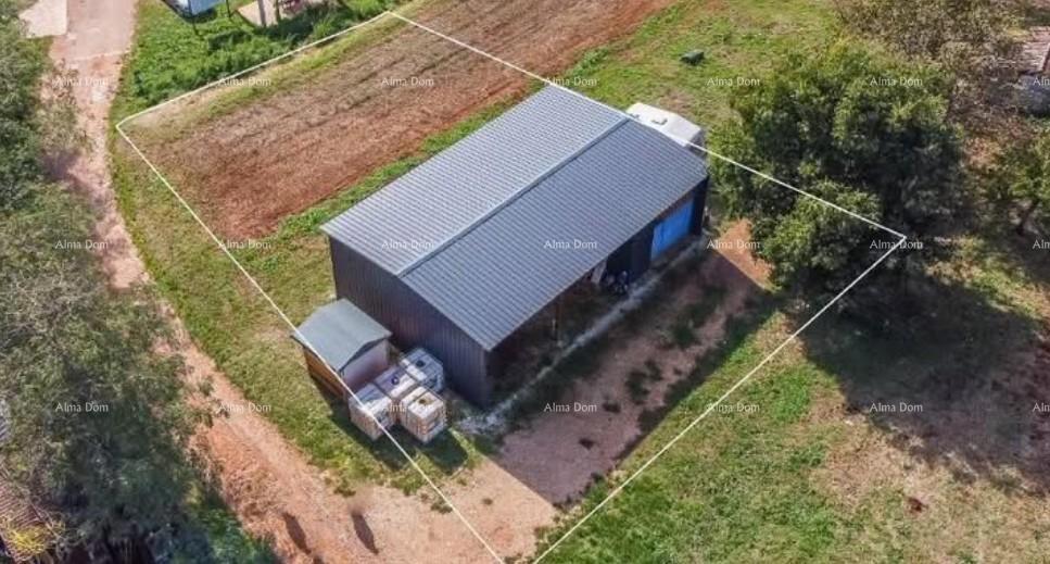 Vendita - terreno edificabile con progetto preliminare vicino a Karigador, Brtonigla!