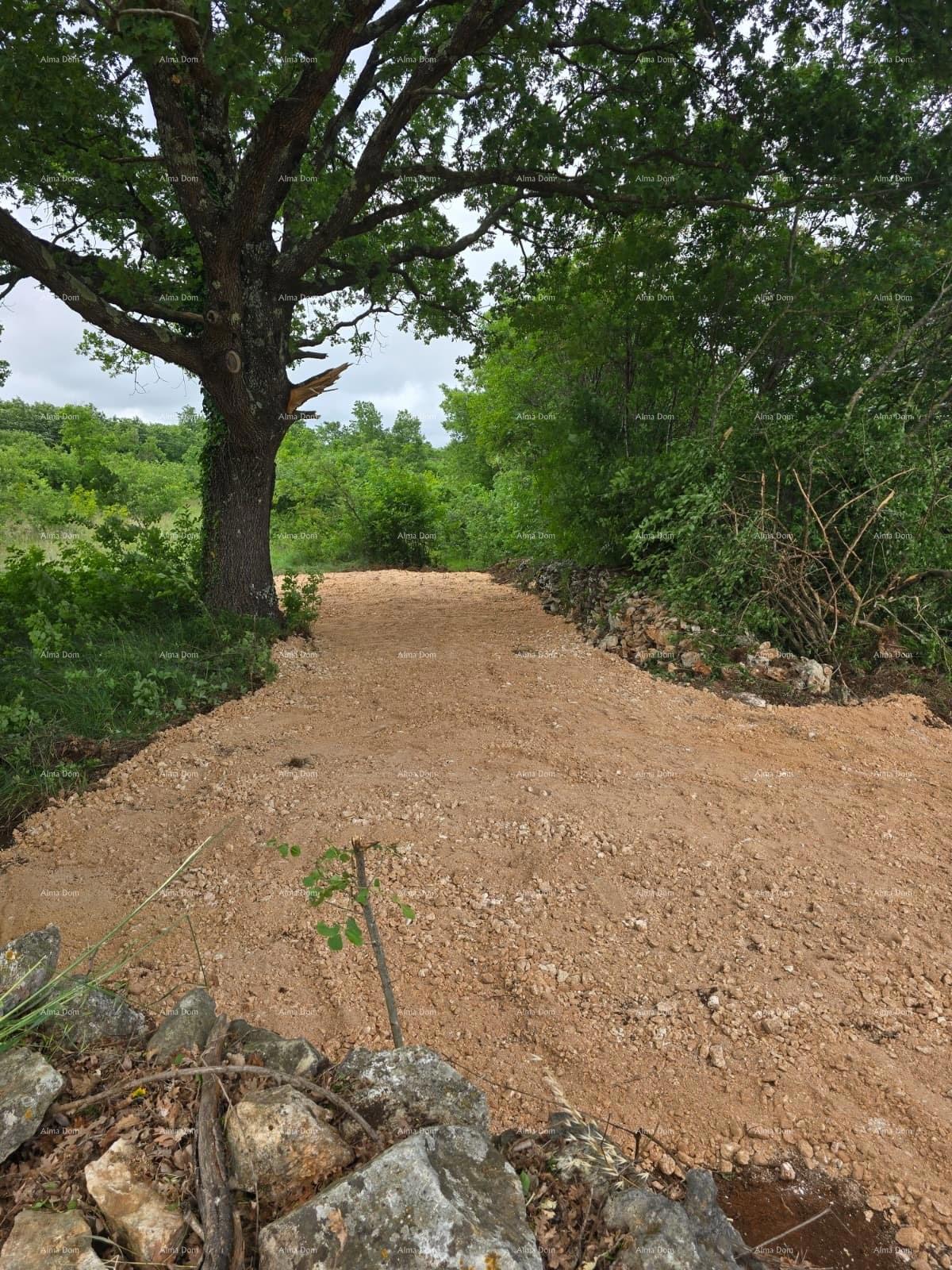 VENDITA – Terreno edificabile con permesso di costruzione e progetto di casa con piscina, Marčana!