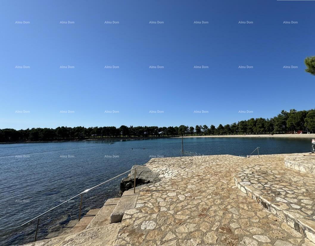 Appartamento Novigrad