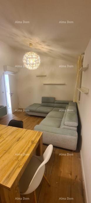 In vendita: Appartamento completamente arredato in una zona tranquilla di Žbandaj – Poreč