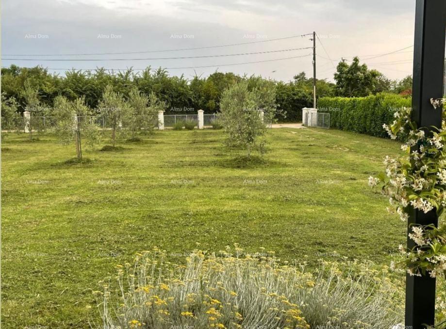 Radeki Glavica, Loborika – Casa con terreno edificabile, uliveto e frutteto