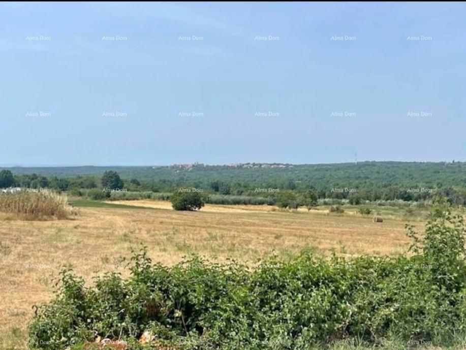 Terreno edificabile Sveti Lovreč