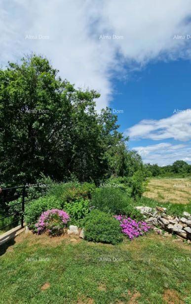Casa in pietra d'Istria ristrutturata con piscina