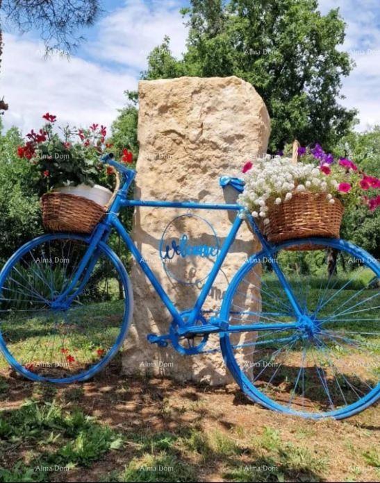 Casa in pietra d'Istria ristrutturata con piscina
